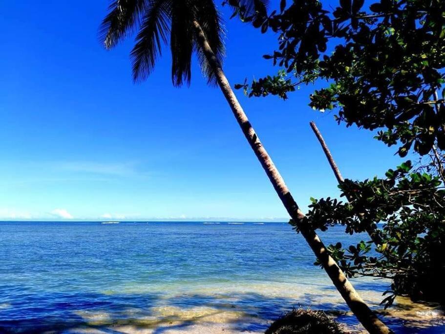 Manta Ray'S Cahuita Apart. Apartment Exterior photo